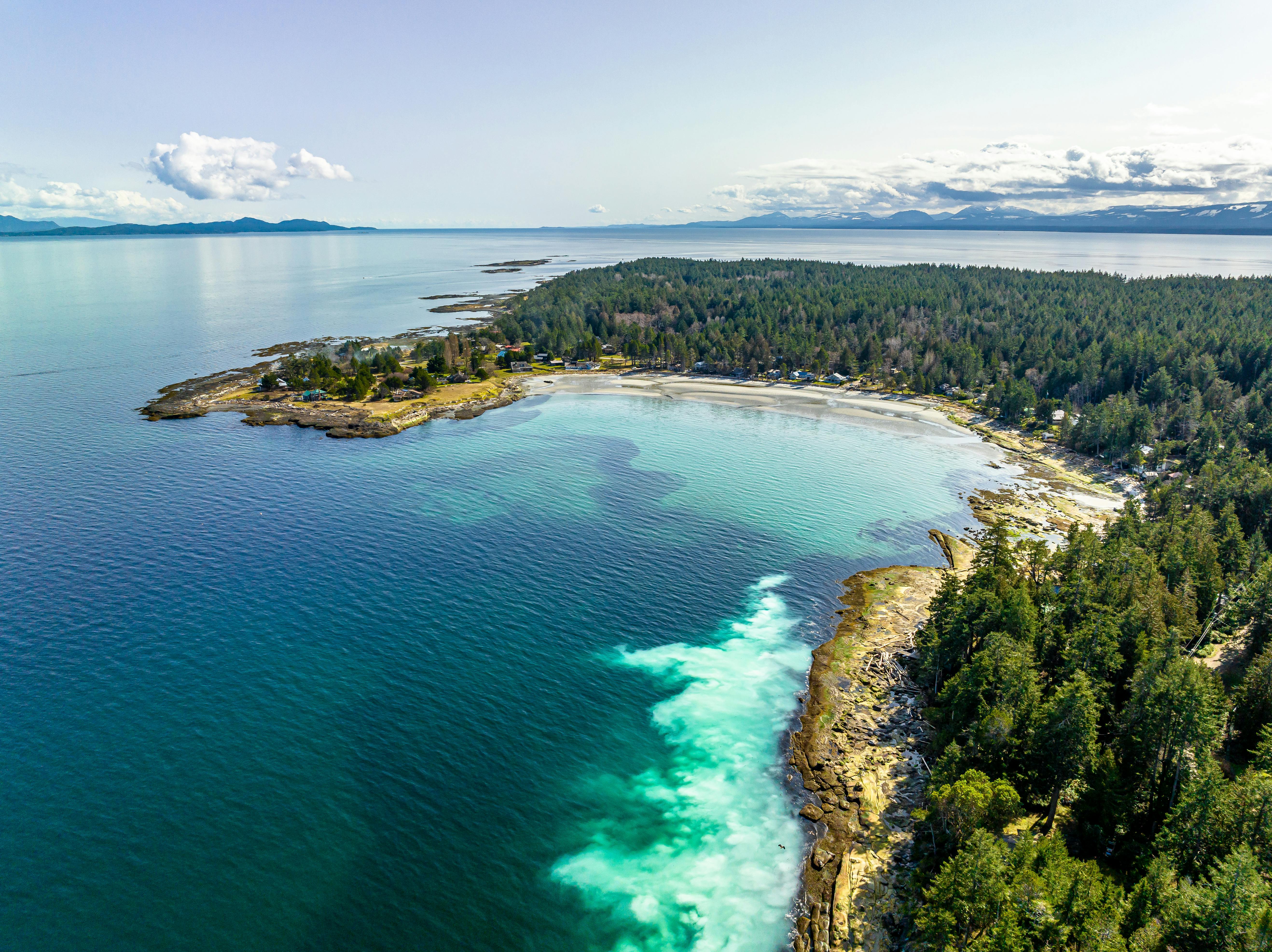 Gratuit Photos gratuites de à distance, amérique du nord, arbres Photos