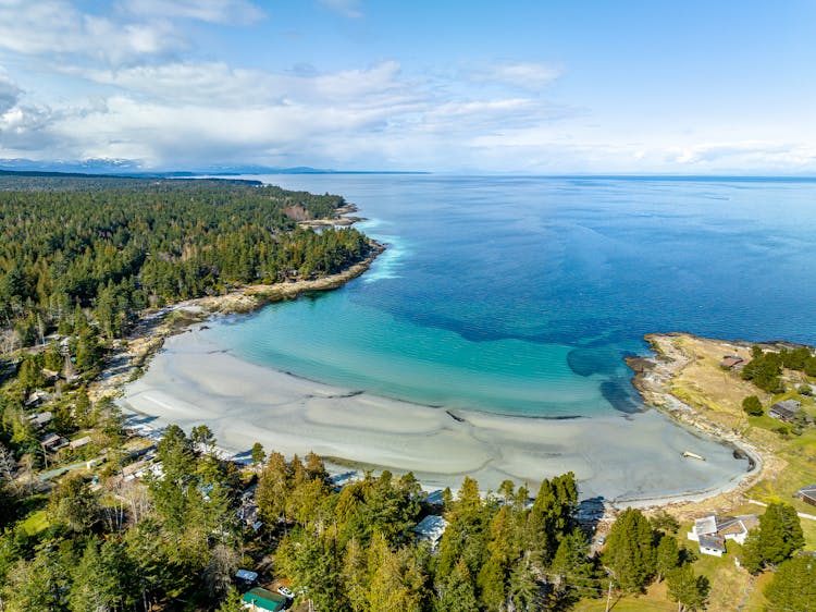 Aerial View Of A Small Forested Bay In Summer