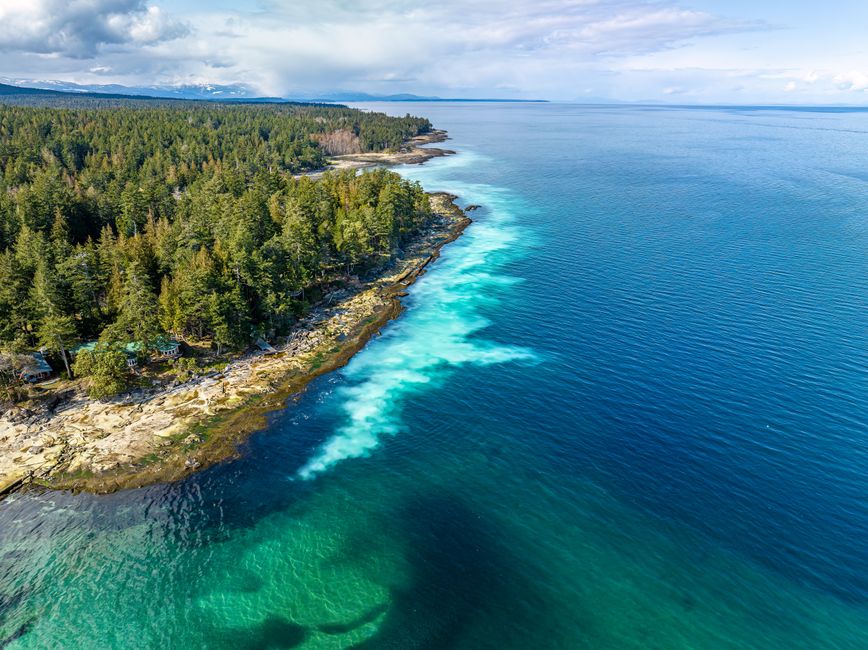 Ocean Meets Orchard: N.L. Cidery Ages Drinks Beneath the Waves