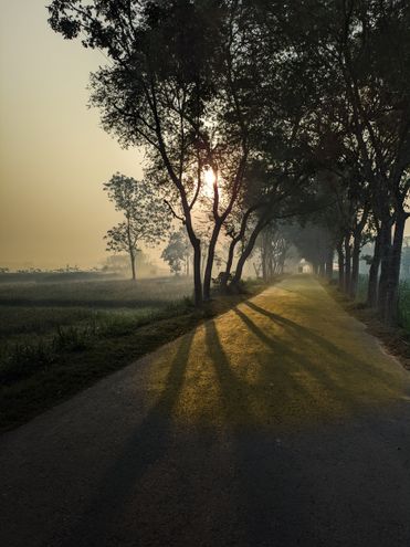 An empty country road winding toward the sunrise, representing the personal path of living out your Destiny Matrix life purpose one step at a time
