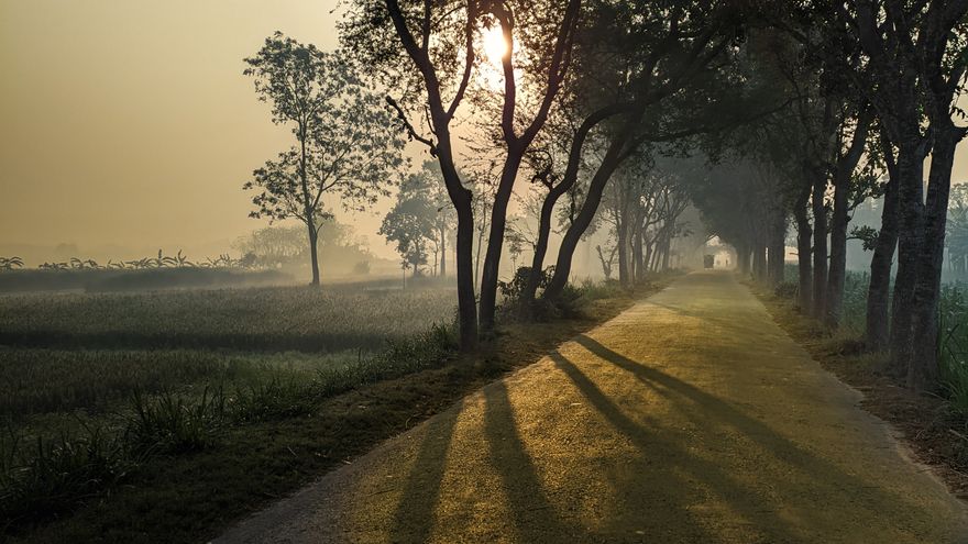 An empty country road winding toward the sunrise, representing the personal path of living out your Destiny Matrix life purpose one step at a time
