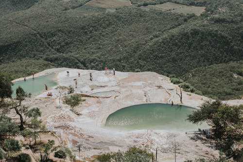 Corpo D'água Cercado Por árvores