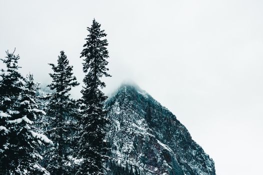 Snowy mountain peak surrounded by evergreen trees and mist in Banff, Alberta, capturing a serene winter landscape.