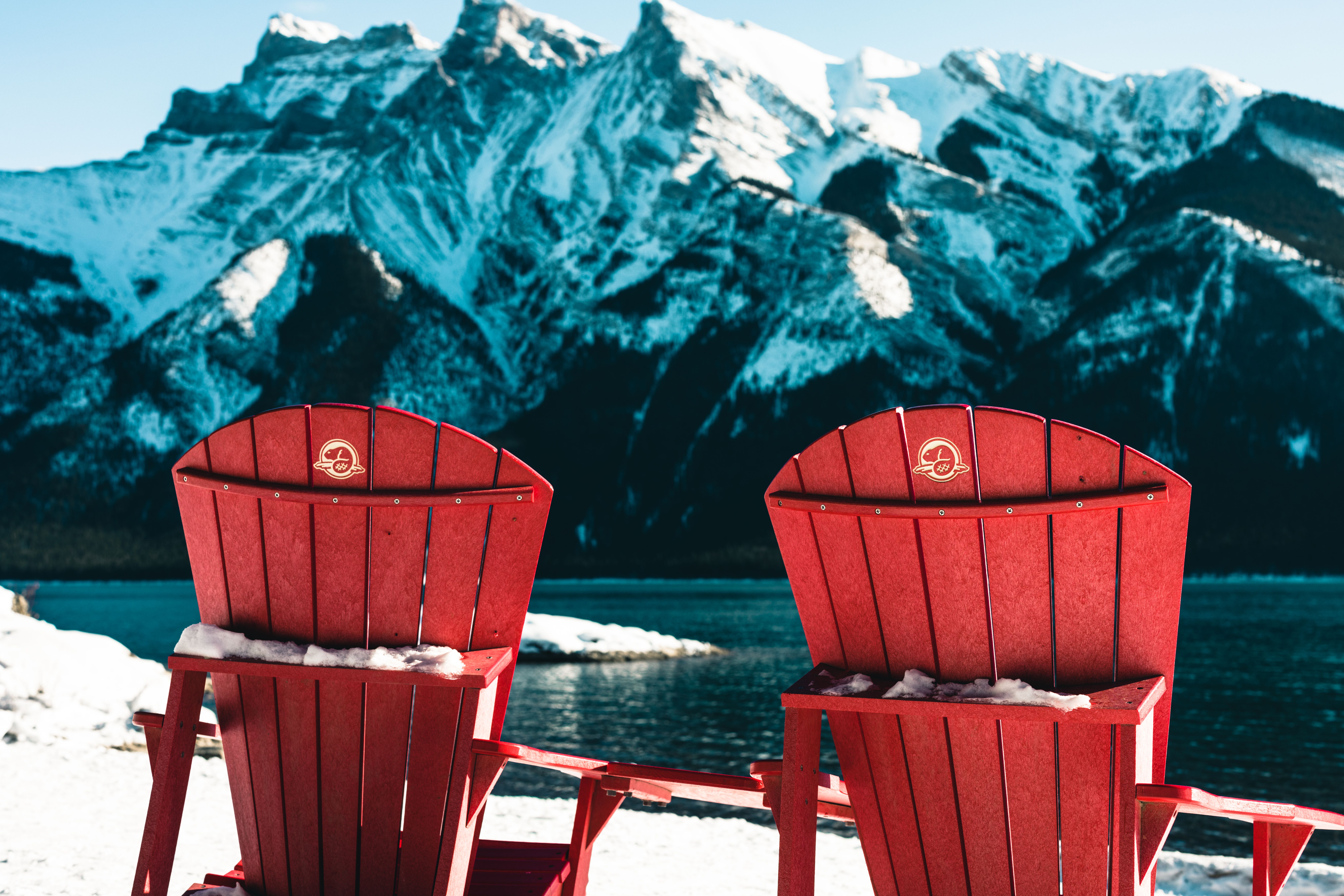 Foto: Ali Kazal / Pexels