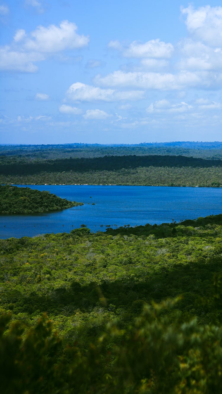 Landscape With Green Forests And A Blue River