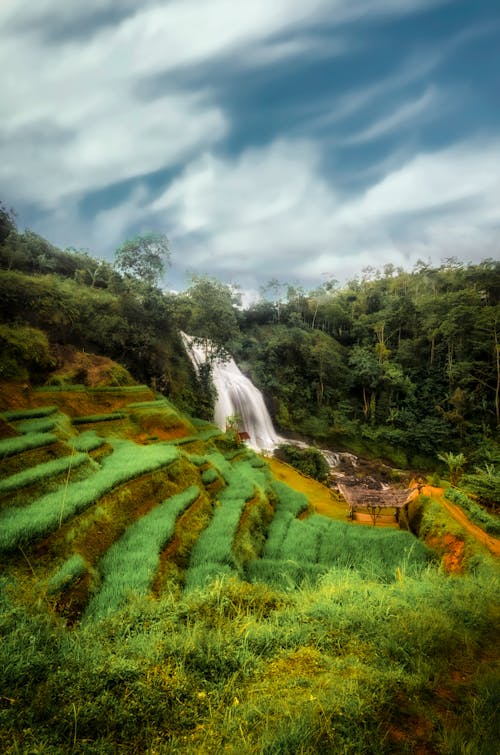 Terraced Rice Paddies by Waterfall