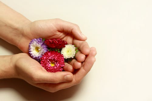 Person Holding Four Assorted Flowers