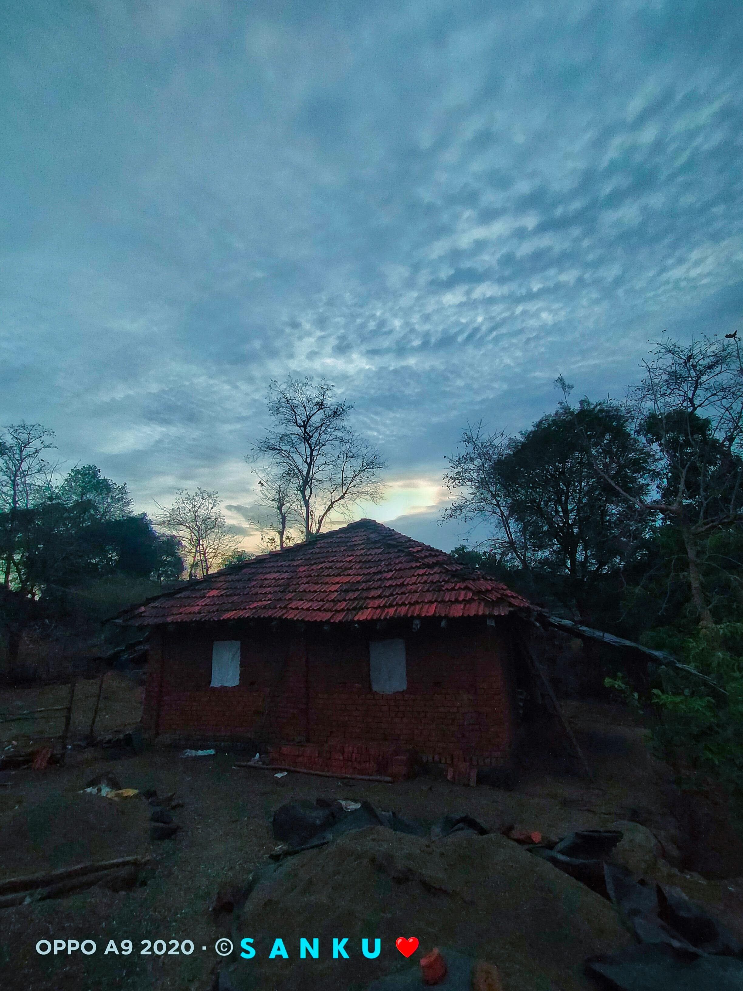 치열한 경기 중 전략을 구사하는 두 스포츠 팀