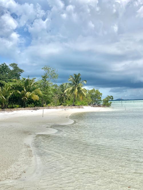 Clouds over Beach with Palm Trees