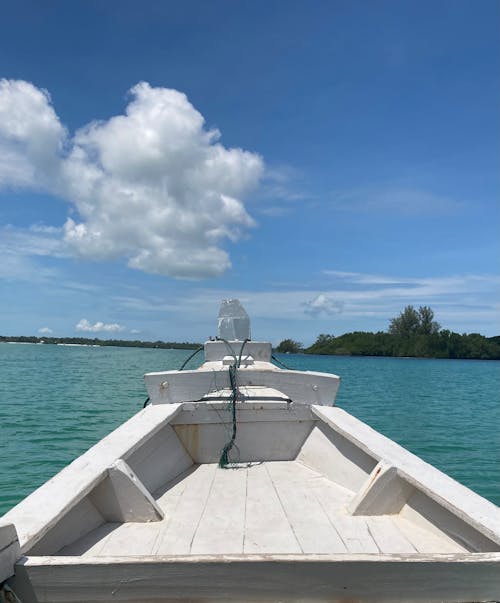 Photo Taken from a White Wooden Boat on the Lake 