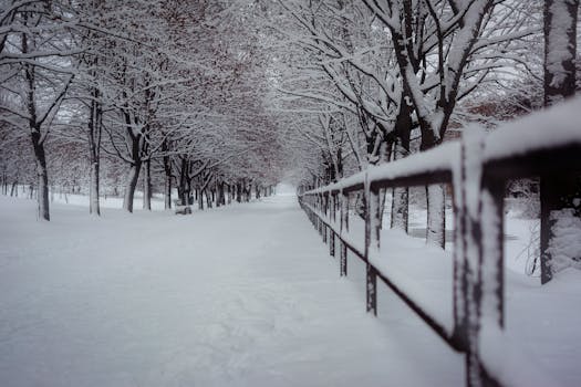 Serene snow-covered path lined with trees in Minsk during winter.