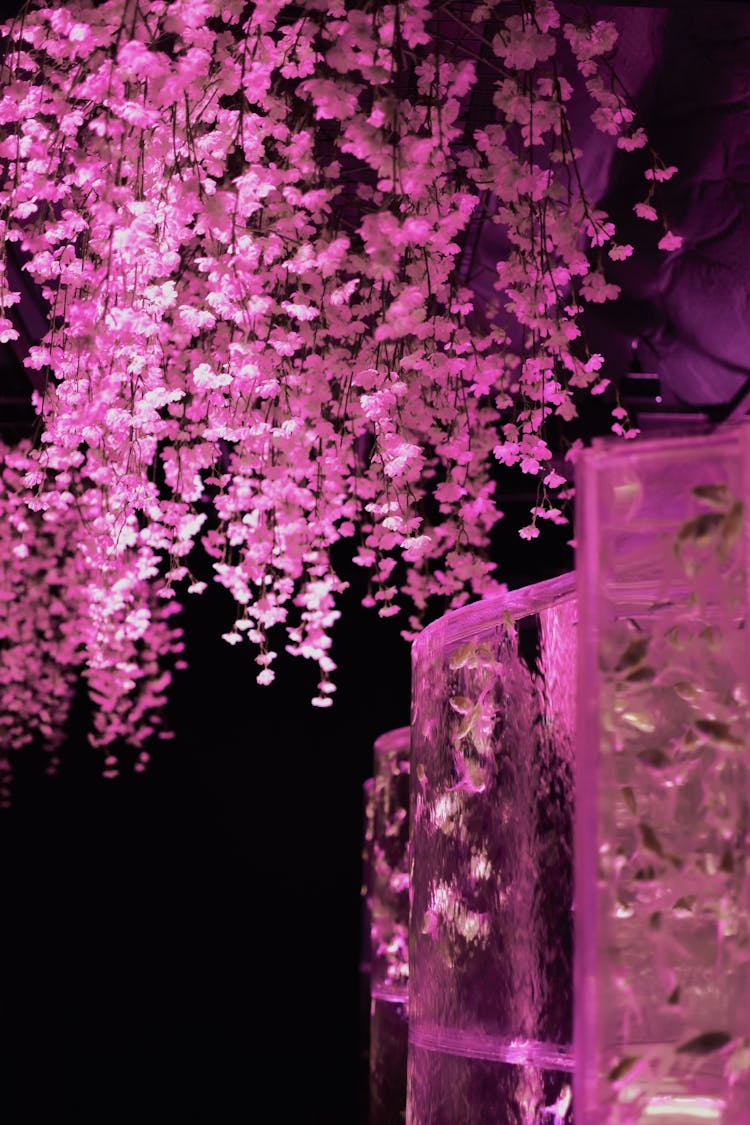 A Hanging Plant With Small Flowers In Purple Lighting 