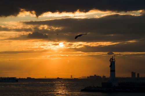 Free Dramatic sunset over Istanbul's sea with silhouette of a lighthouse and seagulls flying. Stock Photo