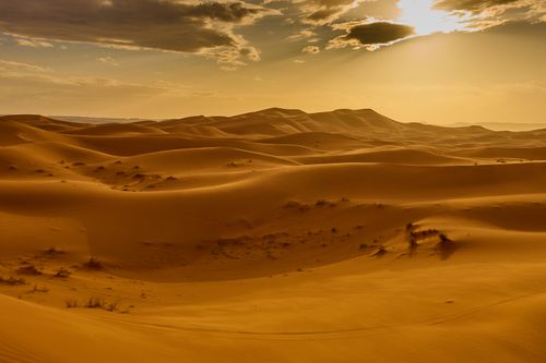 Free Breathtaking view of sand dunes illuminated by the golden sunset in Merdane, Morocco. Stock Photo