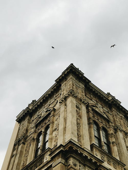 Základová fotografie zdarma na téma budova, létání, městský