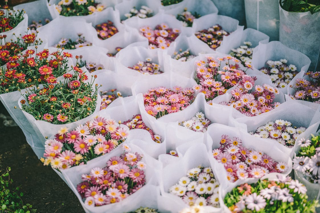 Flowers for sale at a market