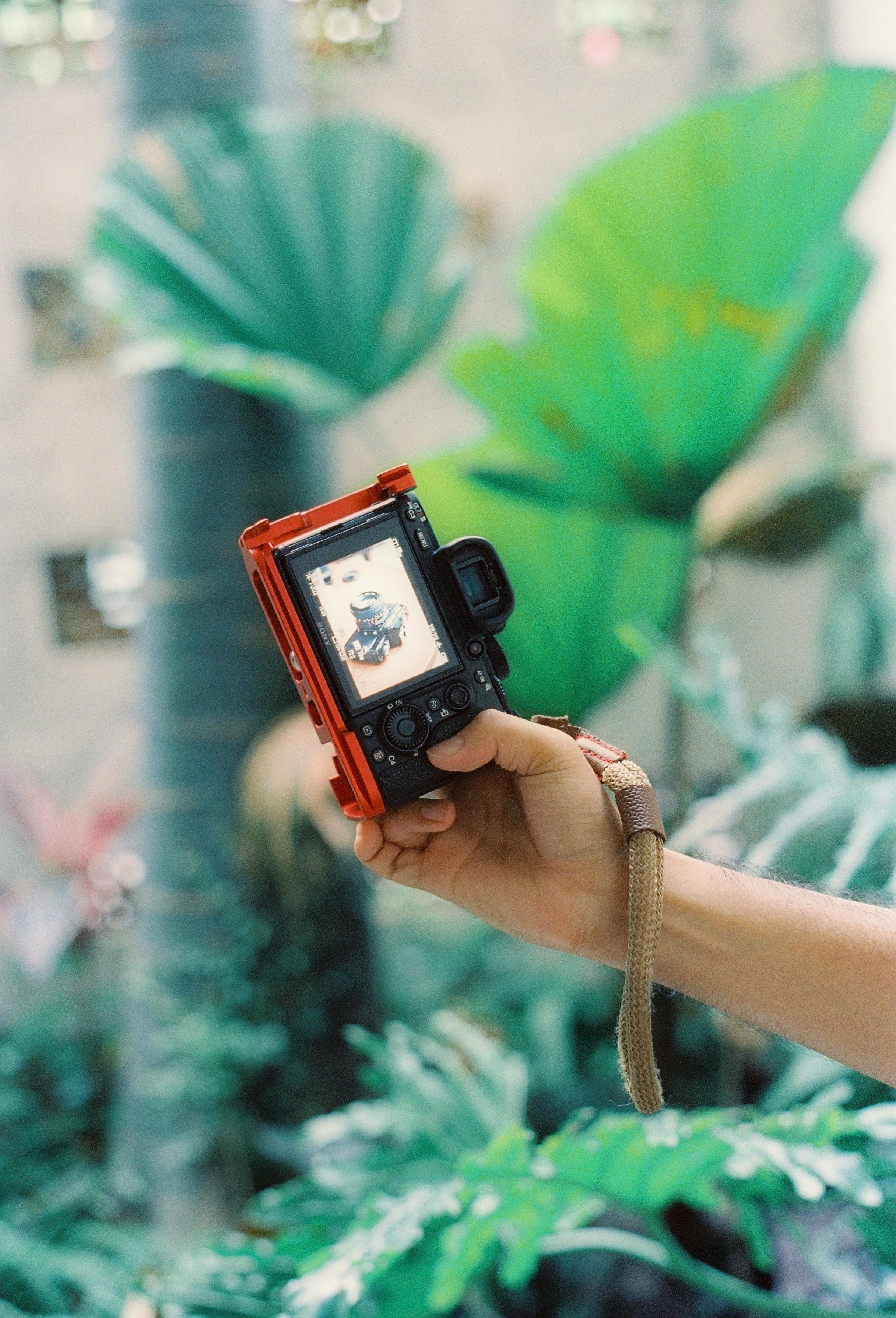 A hand holding a digital camera in a tropical setting showcasing lush green foliage.