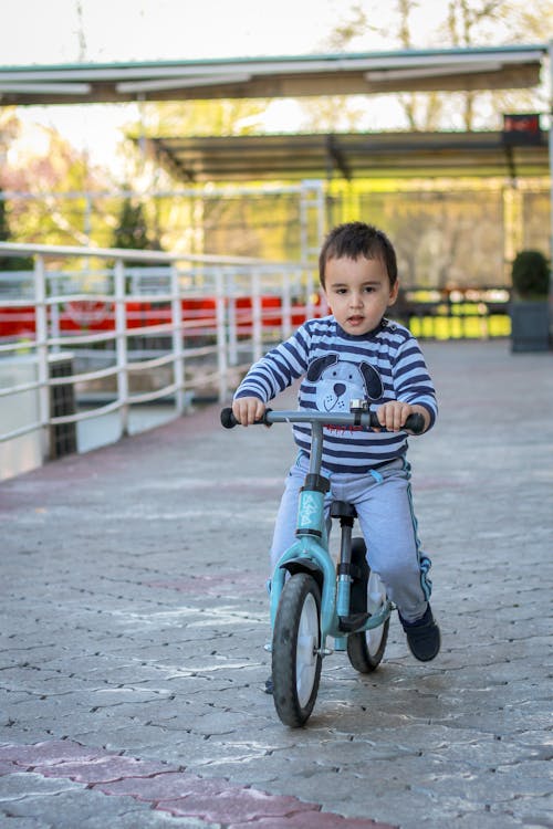 Immagine gratuita di bambino, divertimento, equitazione