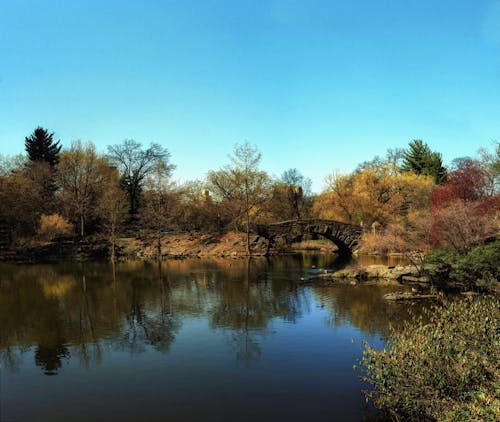 Central Park pond