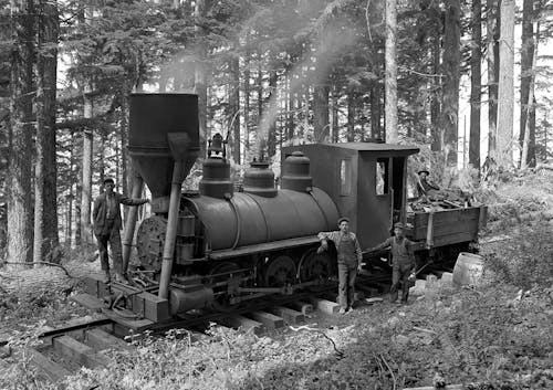 숲에서 기차 옆에있는 3 인의 그레이 스케일 사진