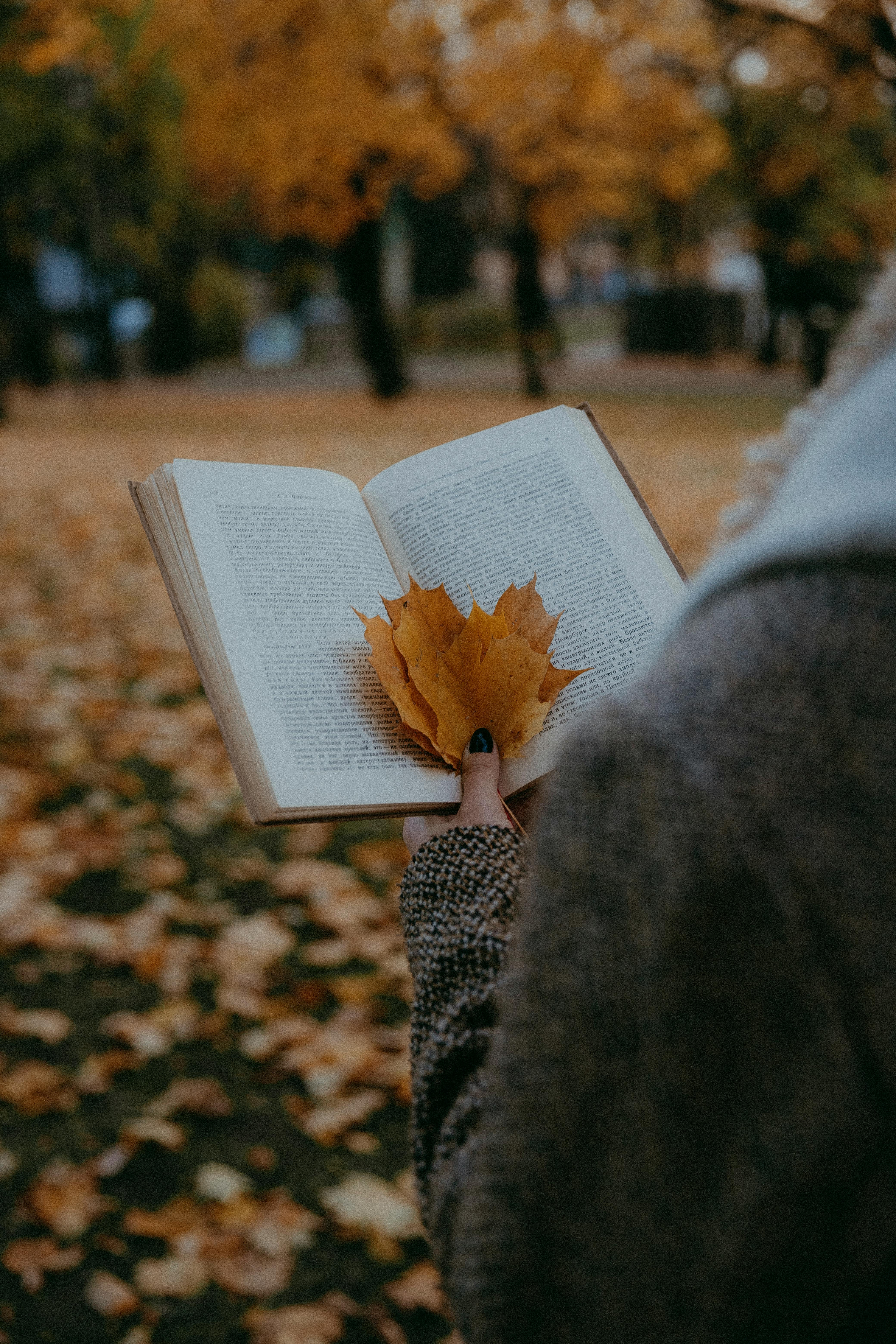 A person reads a book outdoors in autumn, holding a leaf among the pages.
