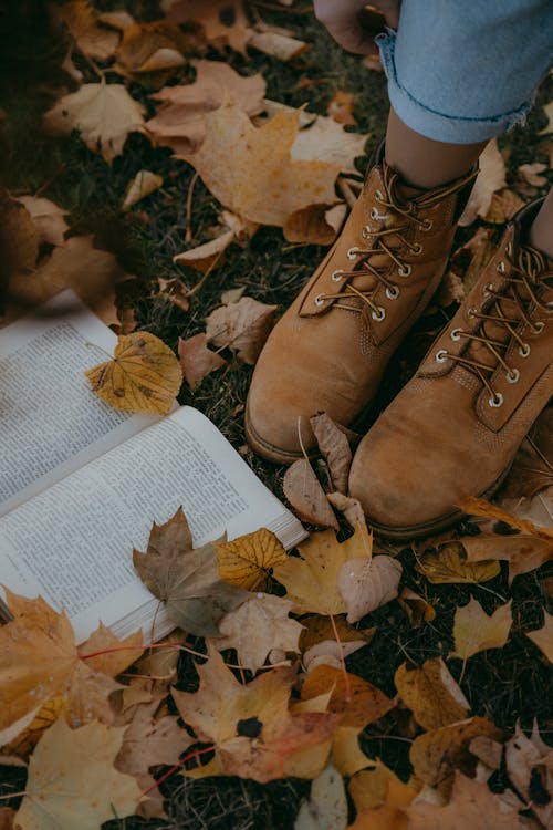 Book among Fallen Autumn Leaves