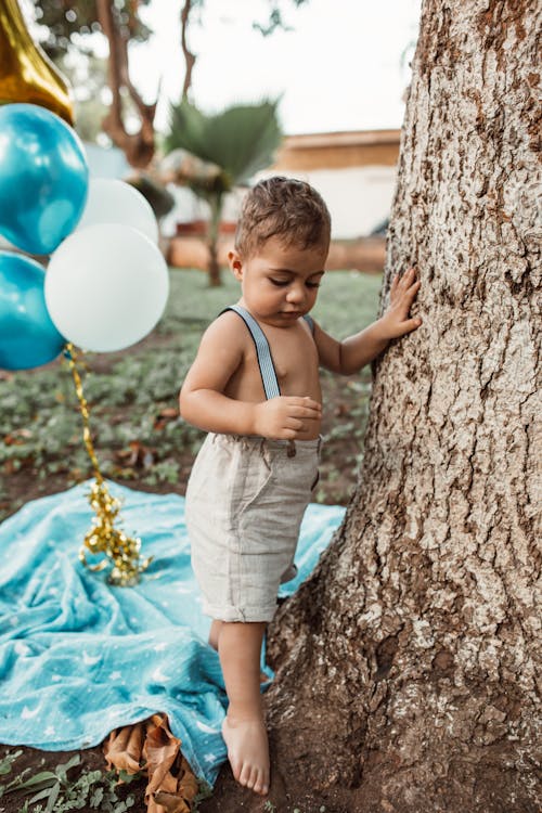 Kostenloses Stock Foto zu ballons, baum, herunterschauen