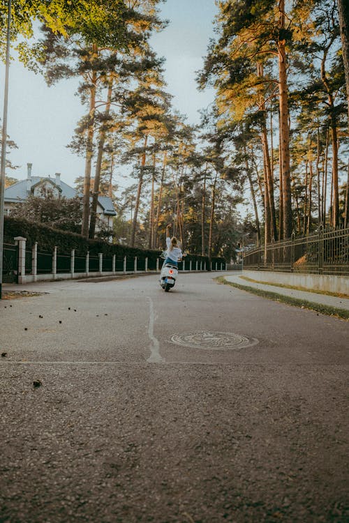 Gratis arkivbilde med byene, fekte, kvinne