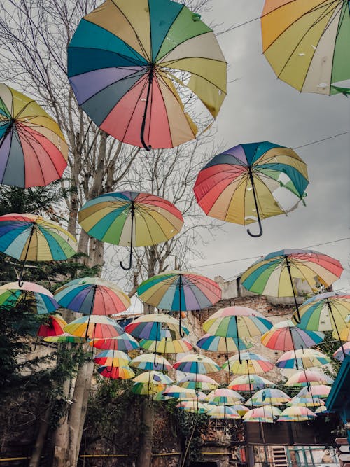 View of Colorful Umbrellas Hanging above a Street 