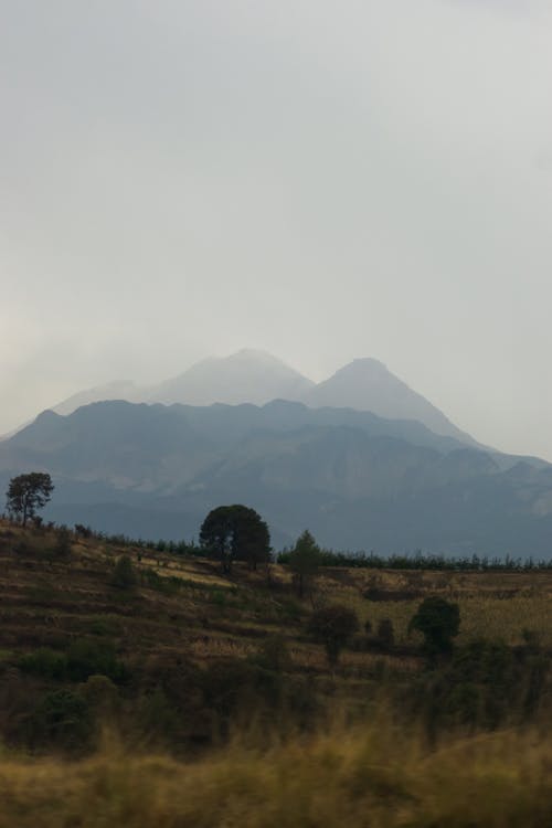 Bushes on Grassland Near Volcano on Foggy Day