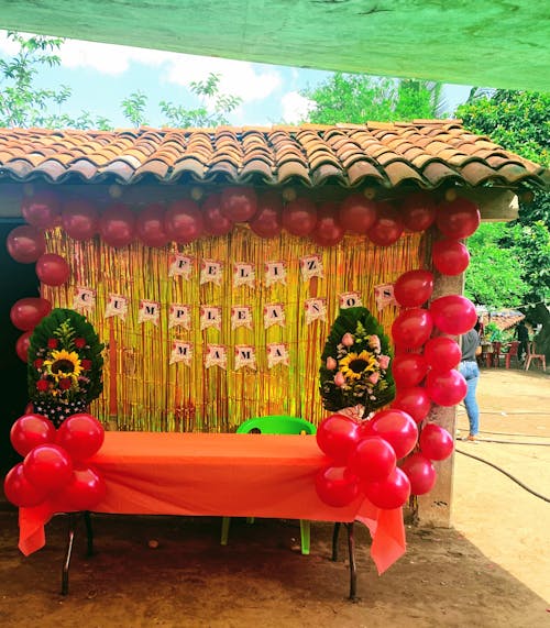 Kostnadsfri bild av ballong, mexikansk fest, röda rosor