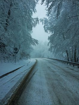 Snow-covered road curving through a frosty forest, showcasing winter's harsh beauty.