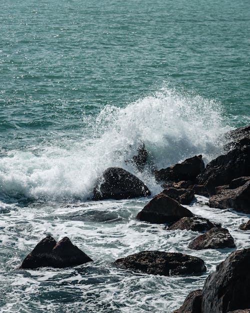 Foto profissional grátis de água, borrifar, mar