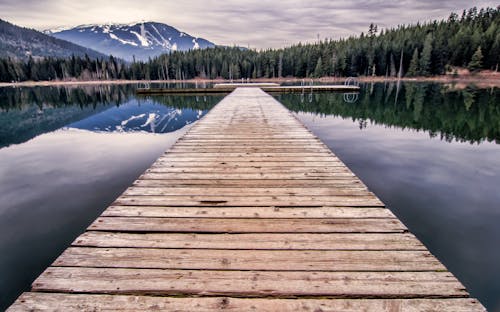 Free Wooden Dock at the Lake during Day Stock Photo