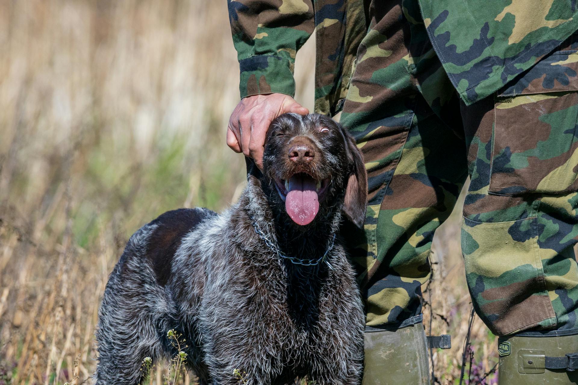 Close up of Soldier Patting Dog