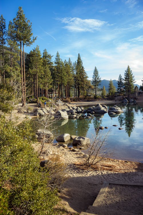 Calm Body of Water