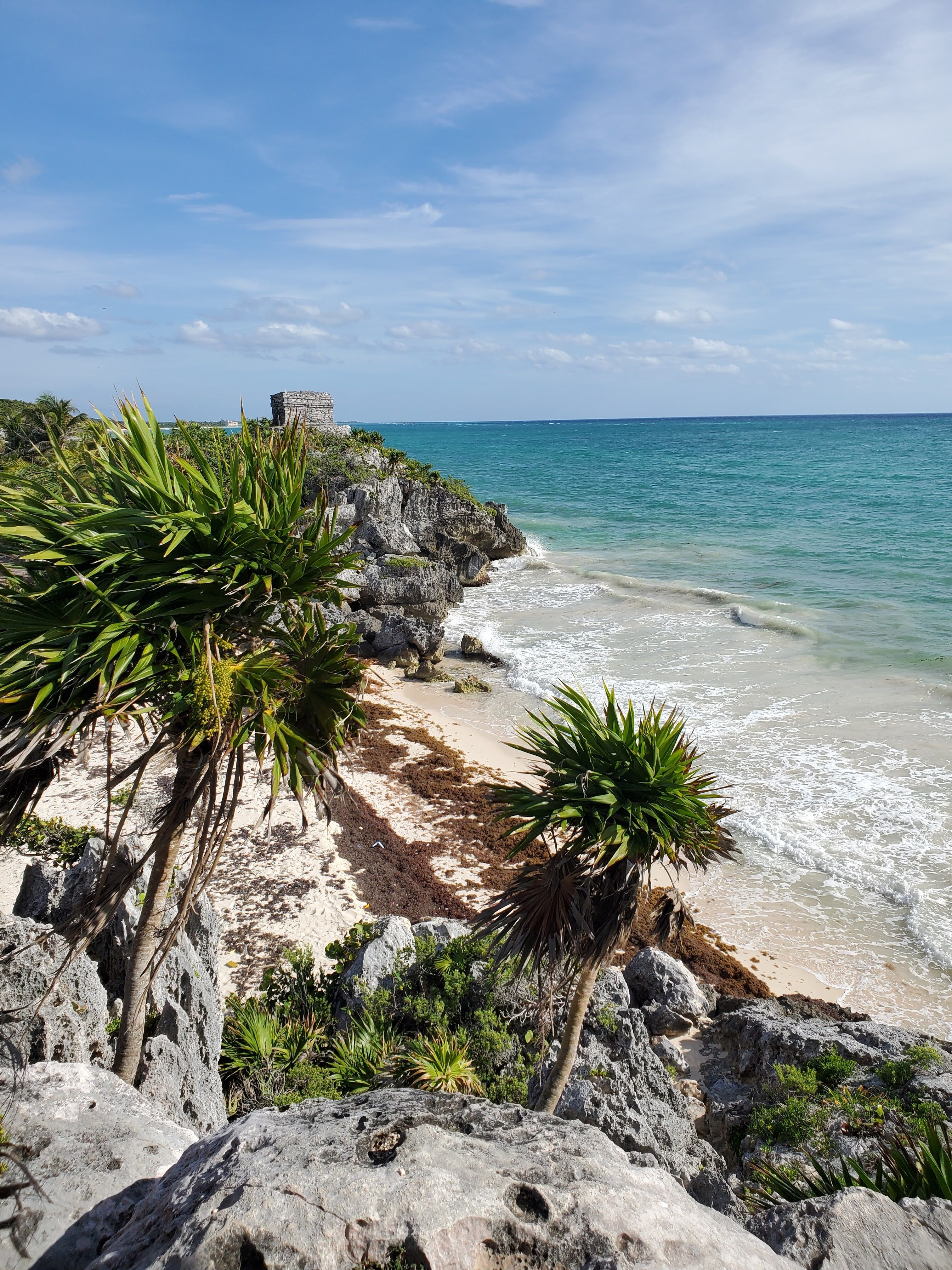 Littoral bordé de palmiers sur la côte caraïbe de la Riviera Maya