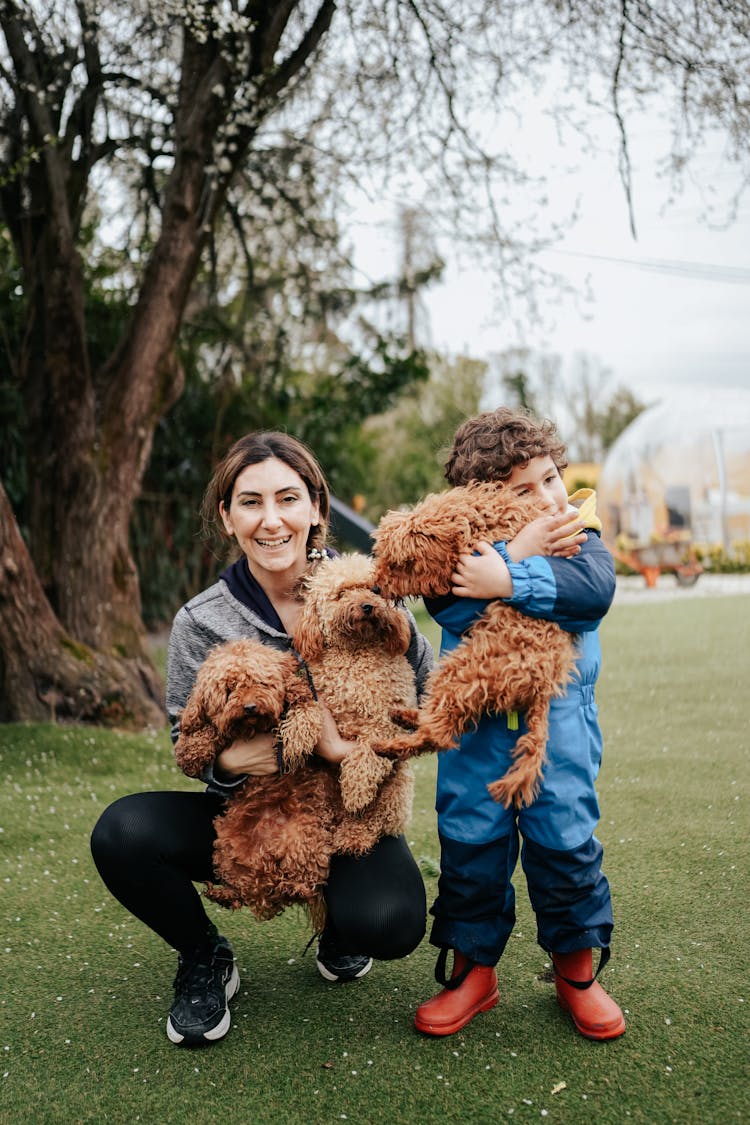 Smiling Woman With Child And Puppies Posing In Park