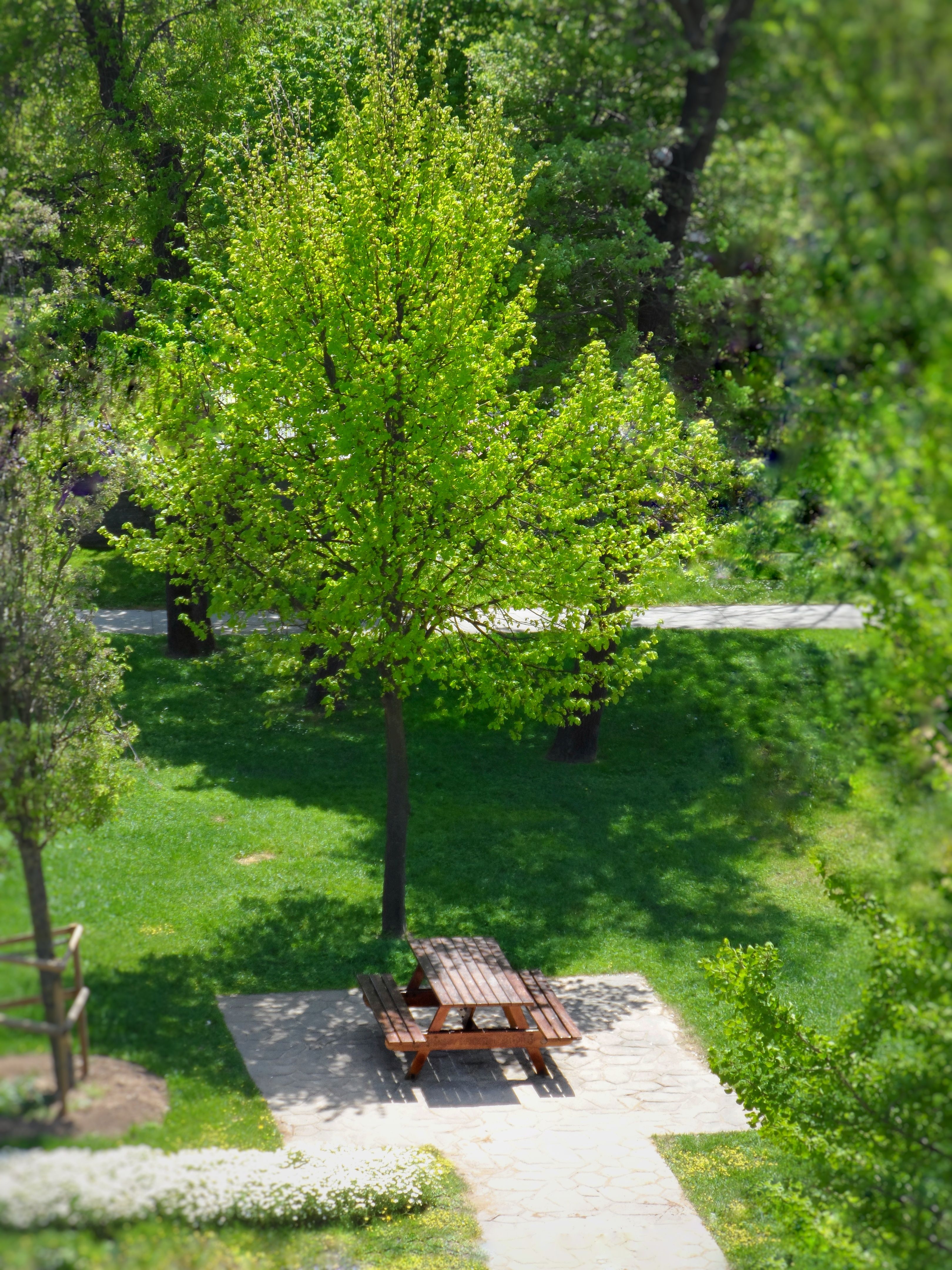 Wooden Bench in Park · Free Stock Photo
