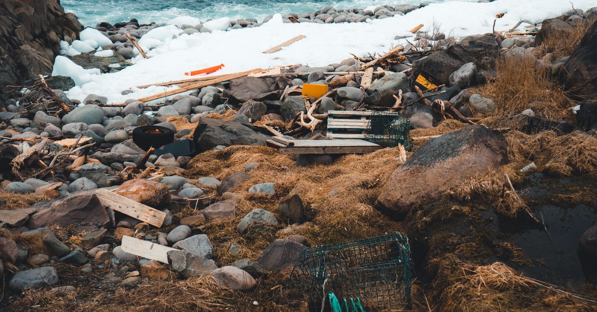Trash Left among Rocks on Sea Shore · Free Stock Photo