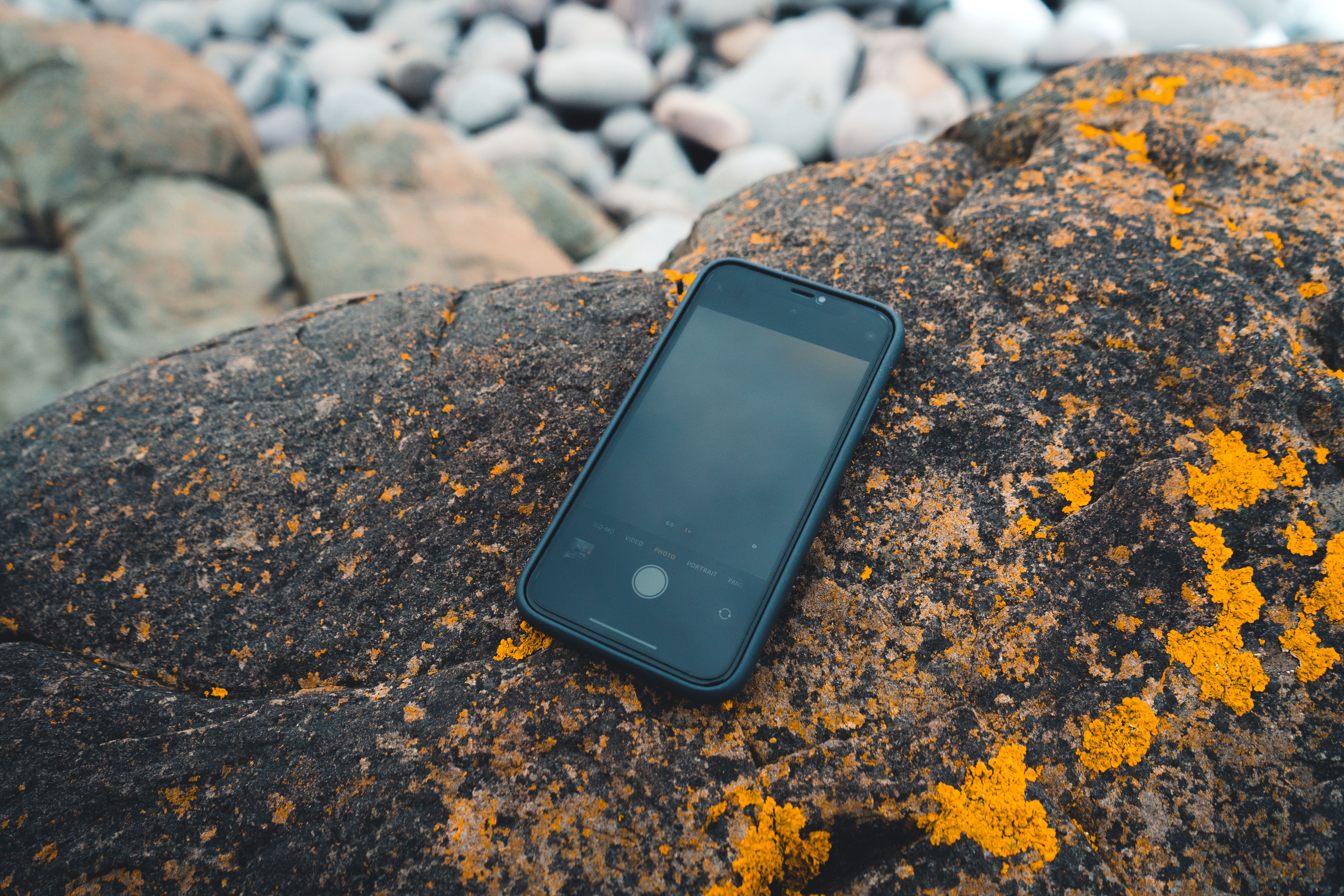 Karibische Landschaft mit Handy