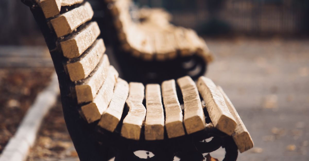 Close-up of wooden benches in a serene park setting during daylight.