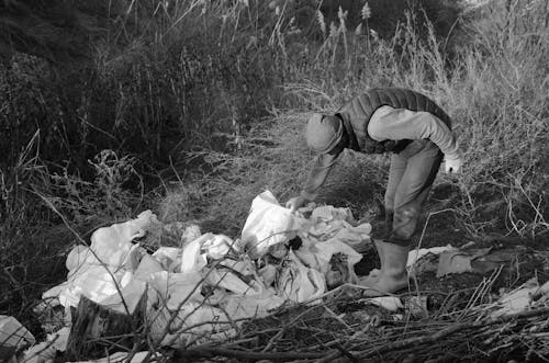 Photos gratuites de clairière, déchets, détritus