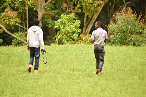 Free Two men enjoying a stroll through a green park, one carrying a camera, surrounded by trees. Stock Photo