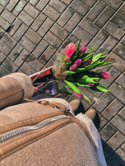 Hand Holding Tulips