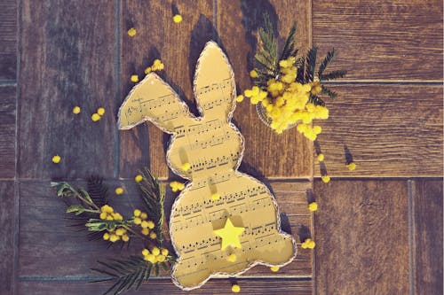 Ilmainen kuvapankkikuva tunnisteilla keltaiset kukat, koriste, koristelu