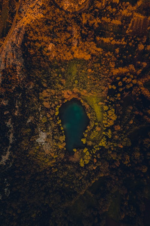 Lake on Land in Countryside