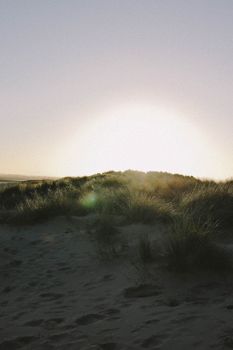 Tranquil sand dunes with grass in the warm glow of sunset, creating a serene natural landscape.