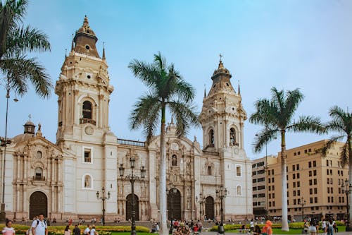 Palm Trees and Lima Cathedral behind