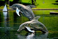 在宁静的公园池塘中，不锈钢海豚雕像优雅地跳跃，周围环绕着绿色植物